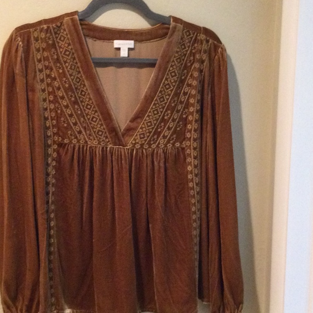 Garnet Hill velvet top